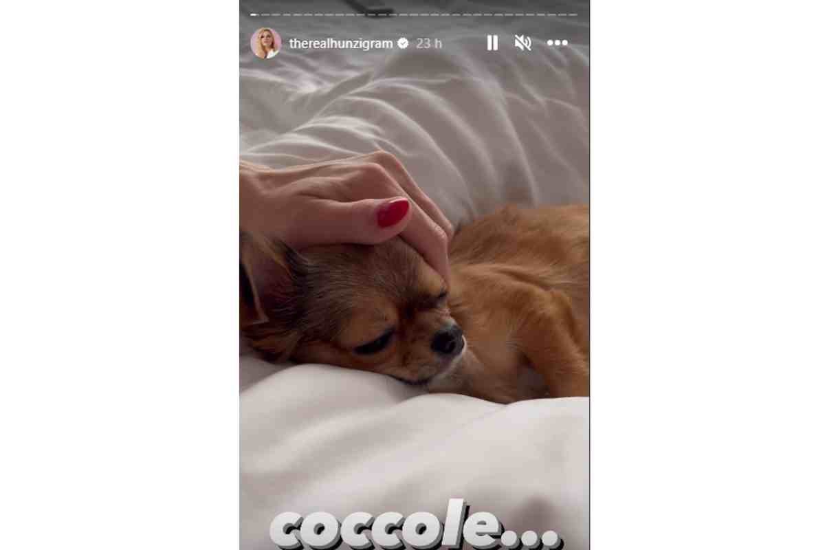 cane Michelle Hunziker coccole