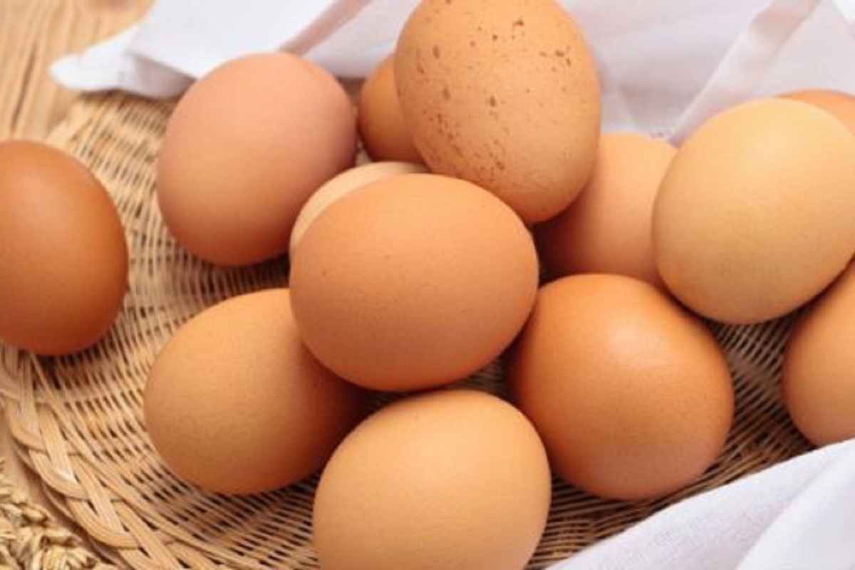 Le uova non aumentano i livelli di colesterolo alto