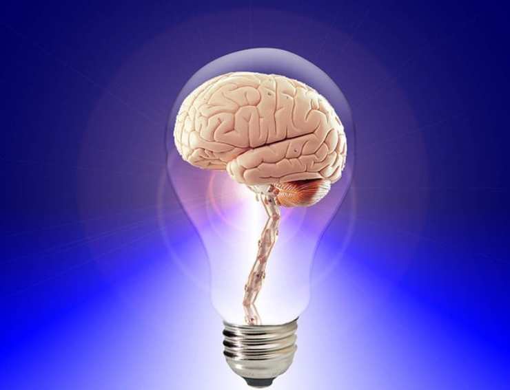 cervello nella lampadina