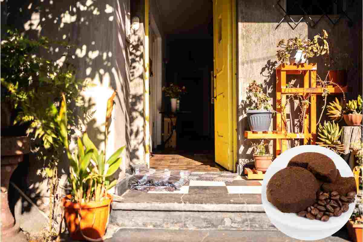 fondi caffè uscio casa