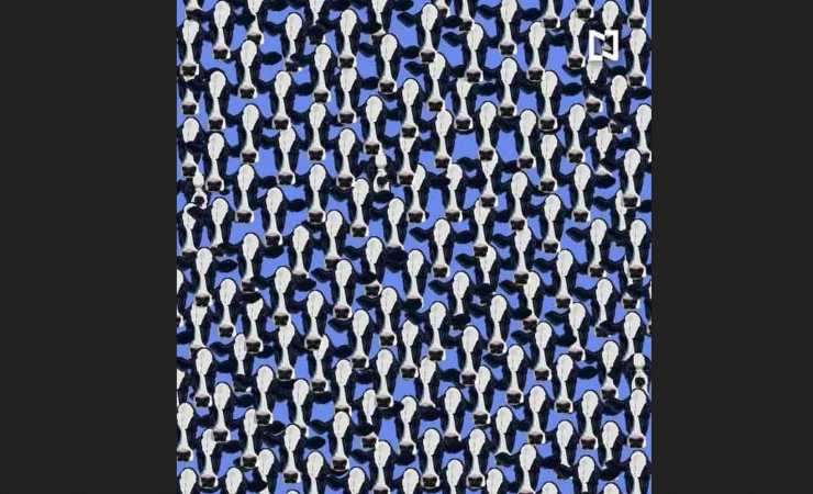 Test Visivo complicato