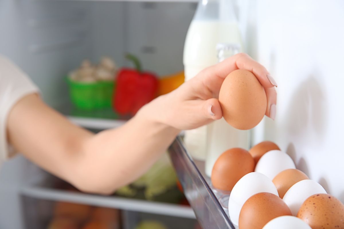 conservare uova fuori o nel frigo