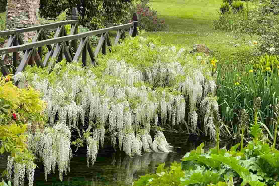 Aperture 2023 Giardino di Ninfa GranTennisToscana.it 7 Marzo 2023