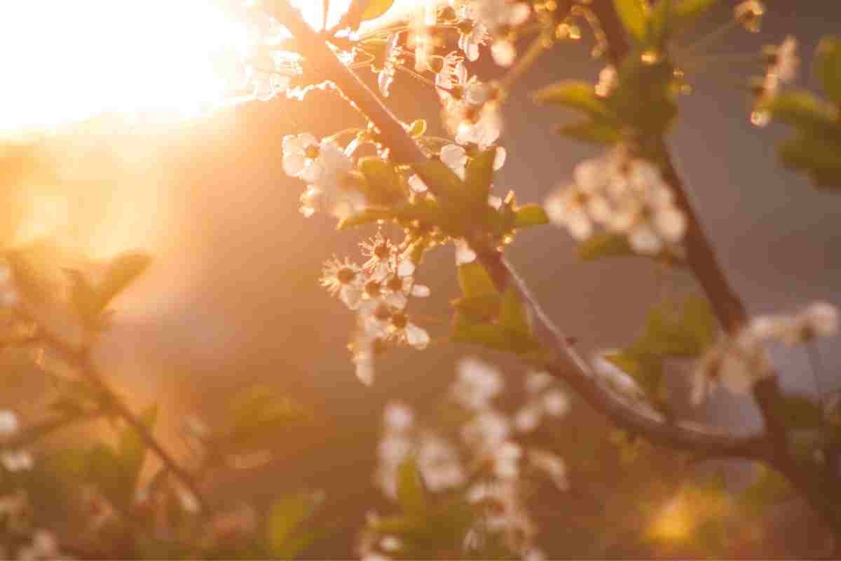 meteo cambia freddo primavera ecco dove