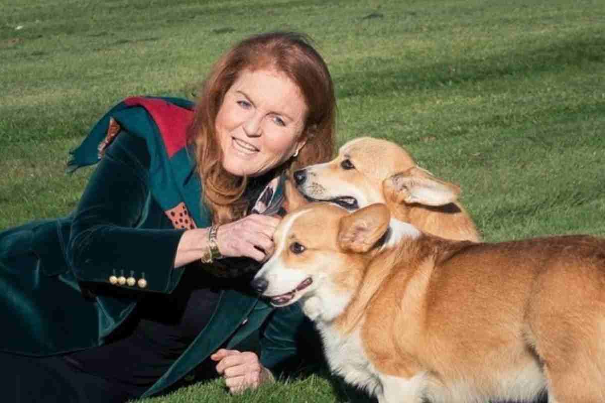 Sarah Ferguson corgi