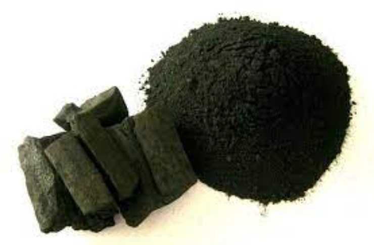 carbone vegetale digerire