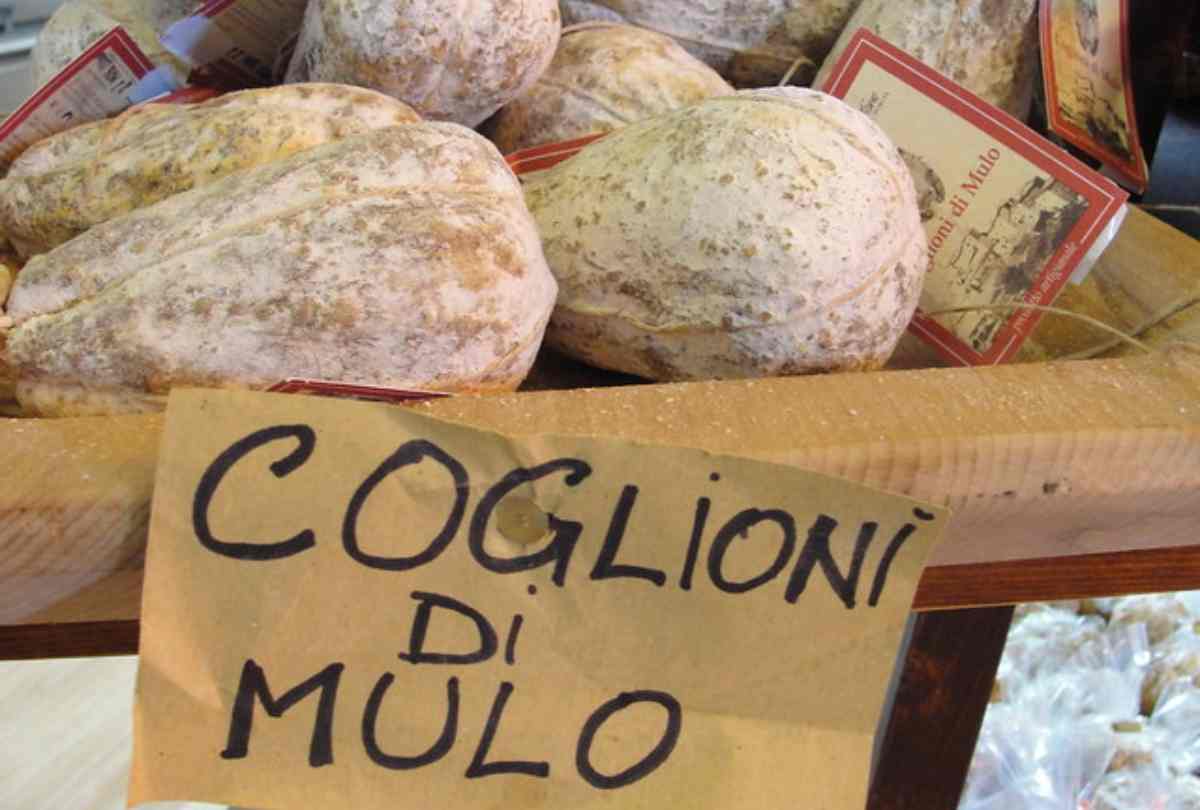 Coglioni mulo in vendita