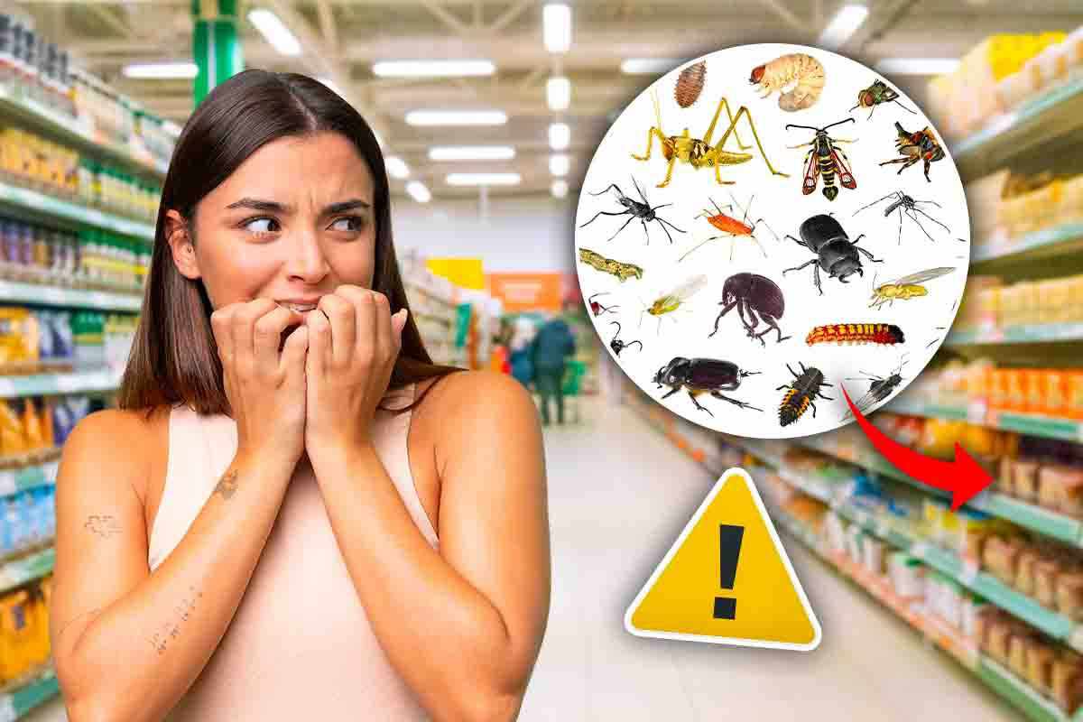 insetti supermercati etichetta scaffali appositi novità decreti