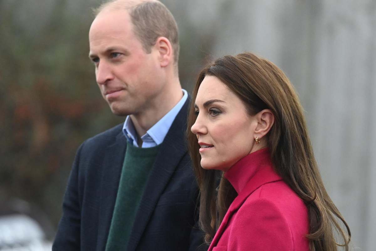 kate william ai ferri corti