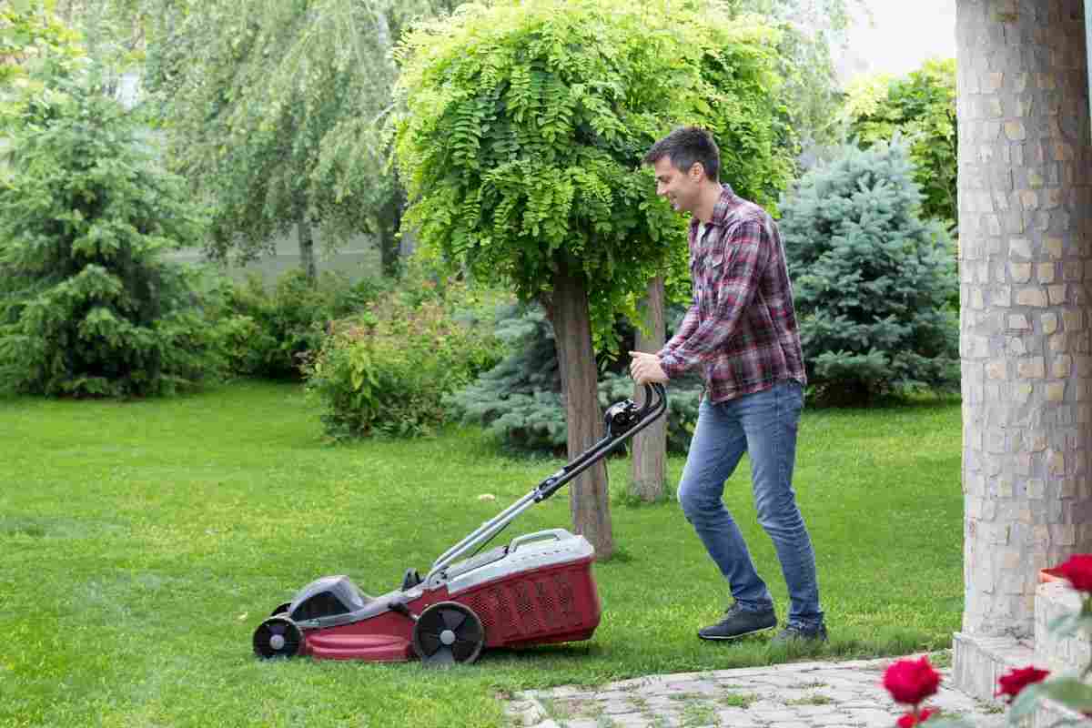 Come prendersi cura del prato