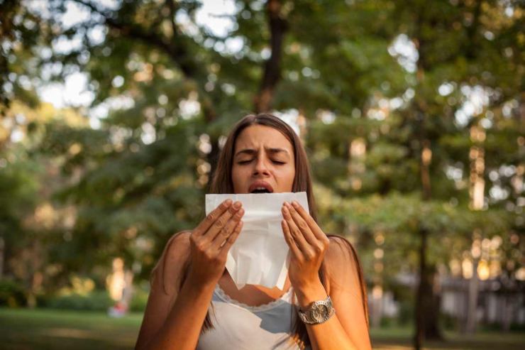 Remédios de primavera para alergia