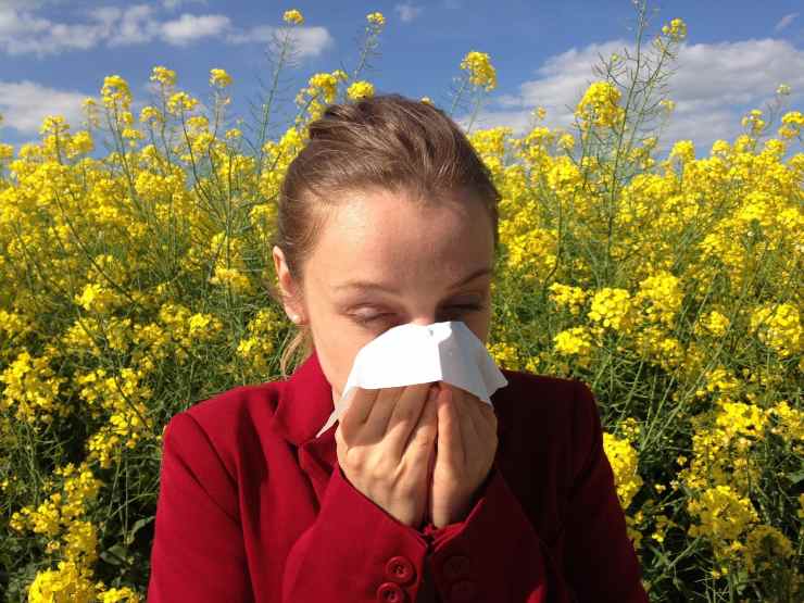 Allergie ai gamberi, attenzione a questi cibi