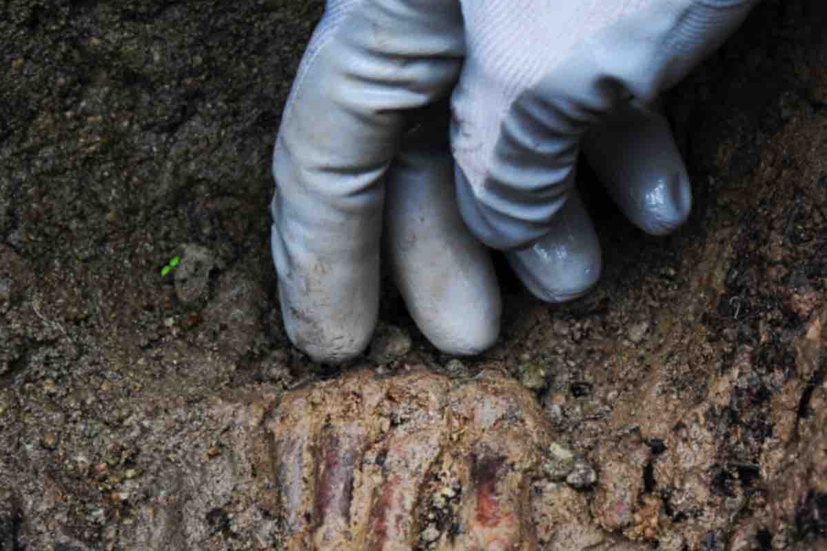 I nuovi ritrovamenti negli scavi di Ercolano, arrivano turisti da tutto il mondo