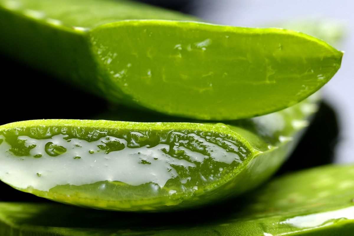 pelle perfetta con miscela aloe vera