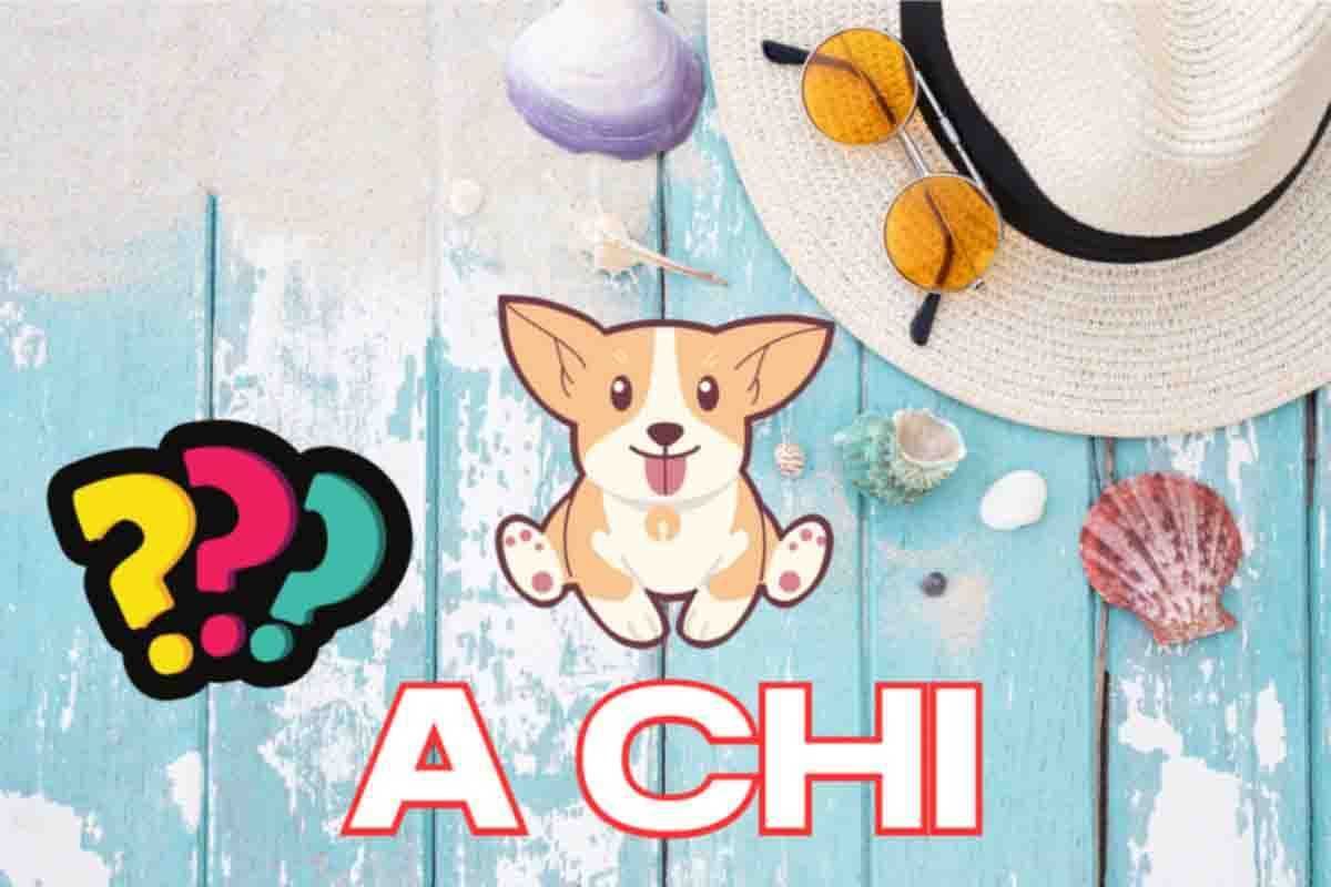 Se non sai a chi lasciare il cane quando vai in vacanza, scopri queste app