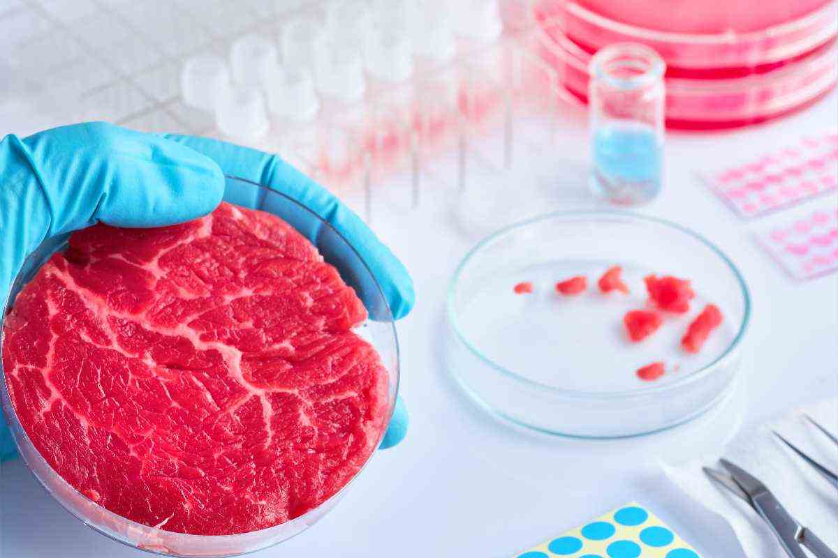 Carne sintetica: cos'è e dove puoi provarla