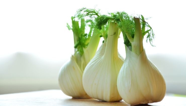 Il finocchio combatte anche la tosse