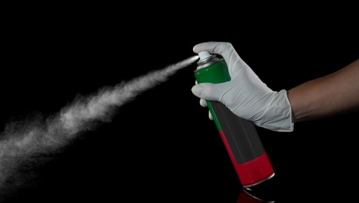Usa lo spray contro gli insetti volanti