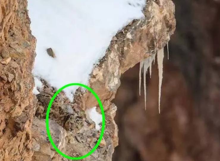 sfida visiva soluzione