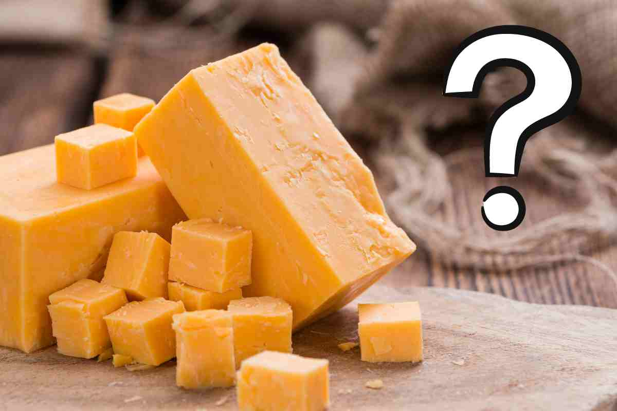 Perché il cheddar è giallo