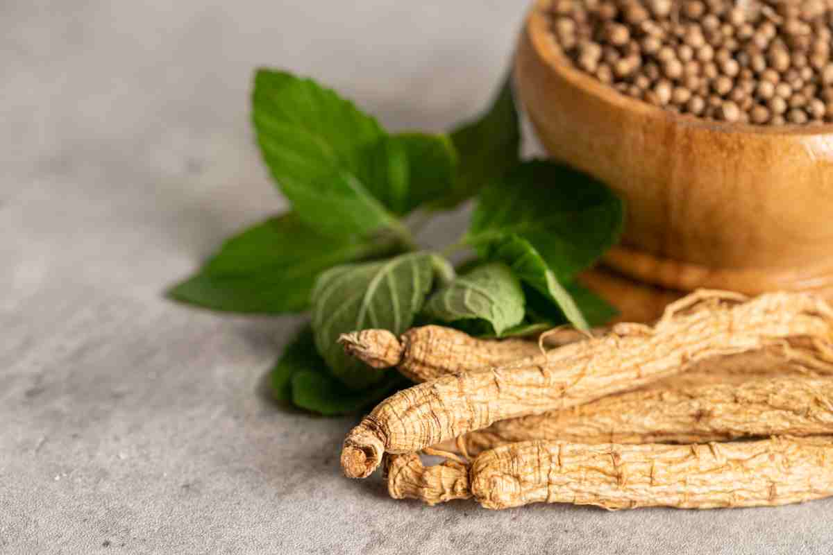 Alimentos que melhoram a saúde do cérebro