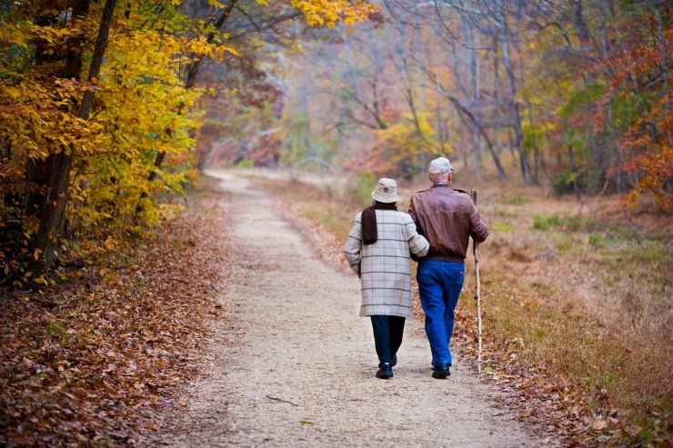 Pubblicati i risultati dello studio australiano sulla relazione tra muscoli e demenza senile