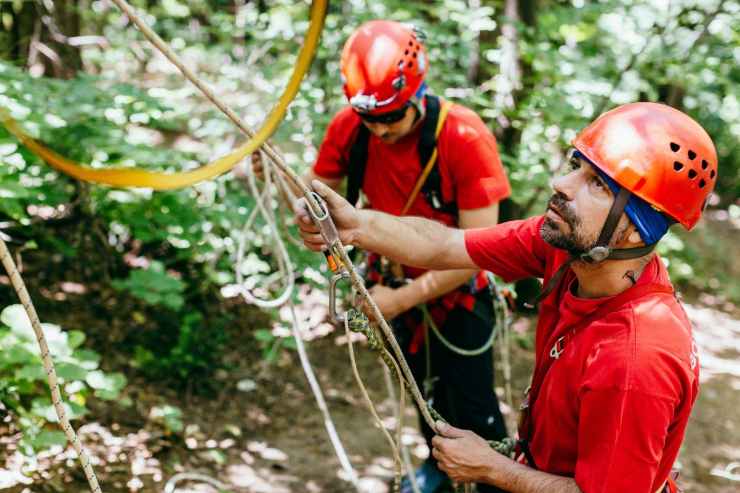 cosa fare quando ci si perde nel bosco