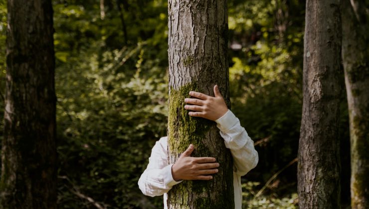 relazione con l'ambiente