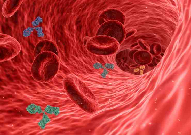 Il colesterolo alto è un rischio per le arterie