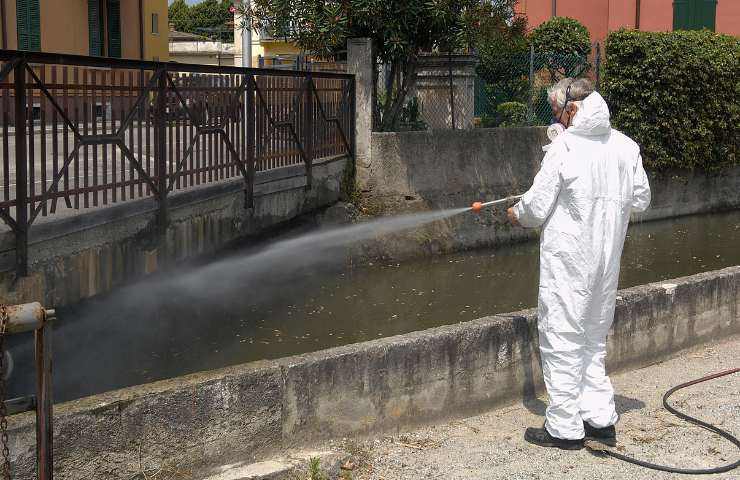 allarme zanzare le reazioni