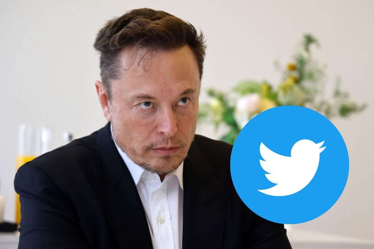 musk twitter