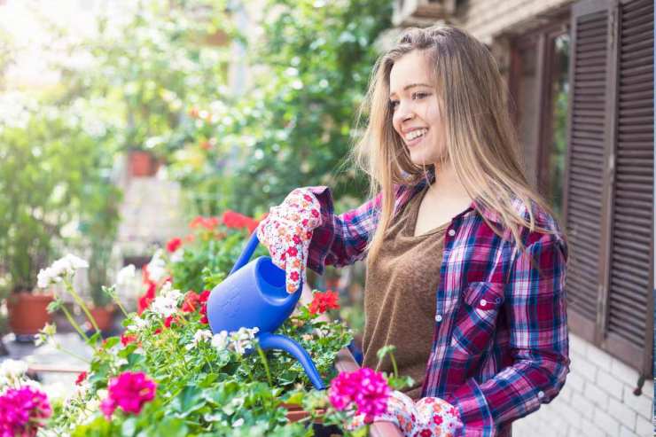 Fiori da piantare a maggio