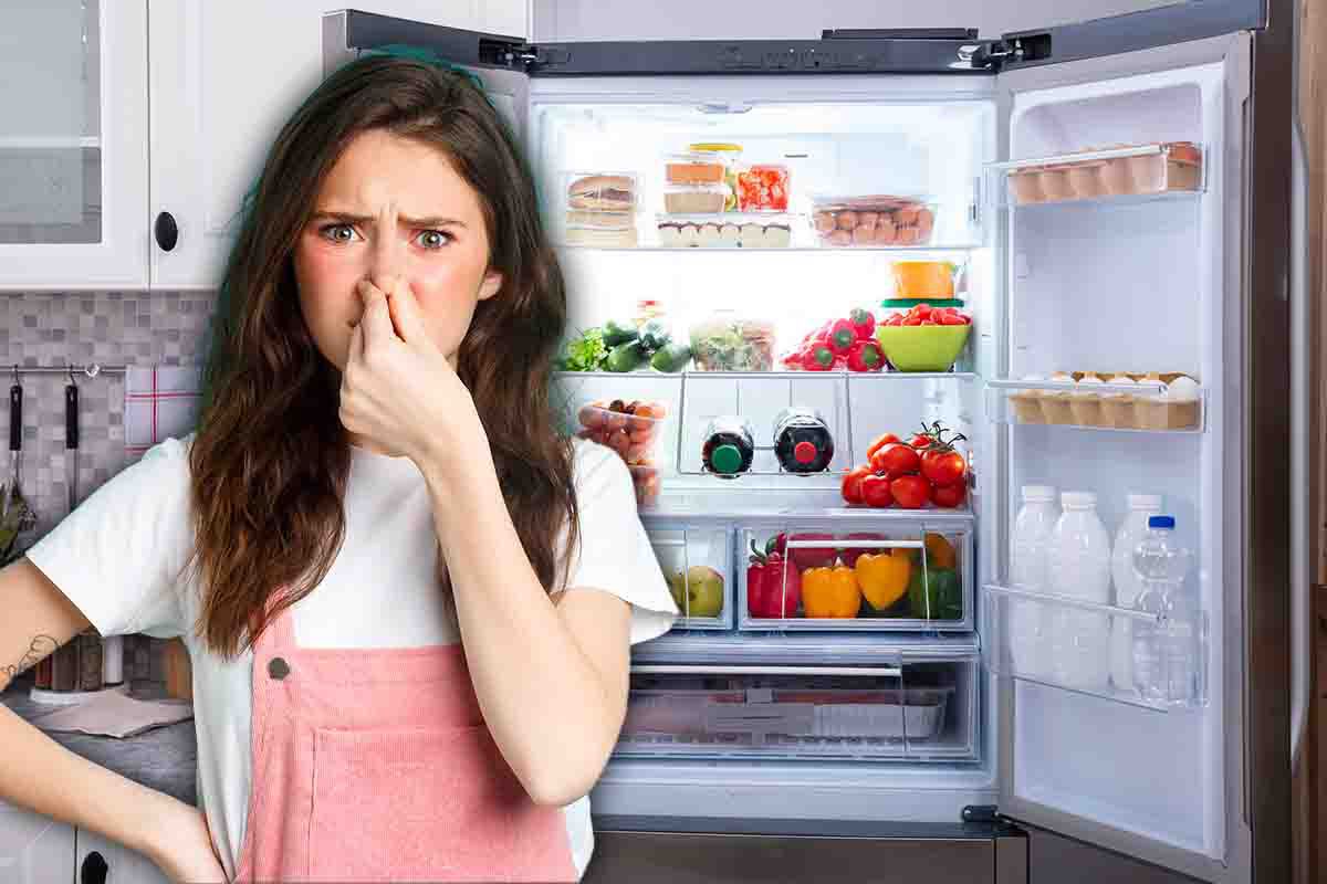 come rimuovere cattivi odori in frigo