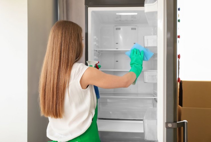 eliminare cattivi odori frigorifero
