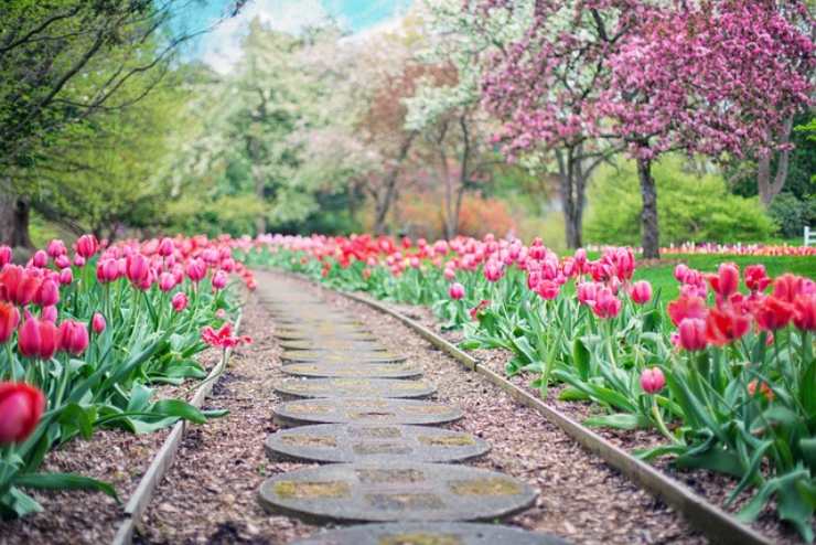 come pulire il giardino contro le zanzare