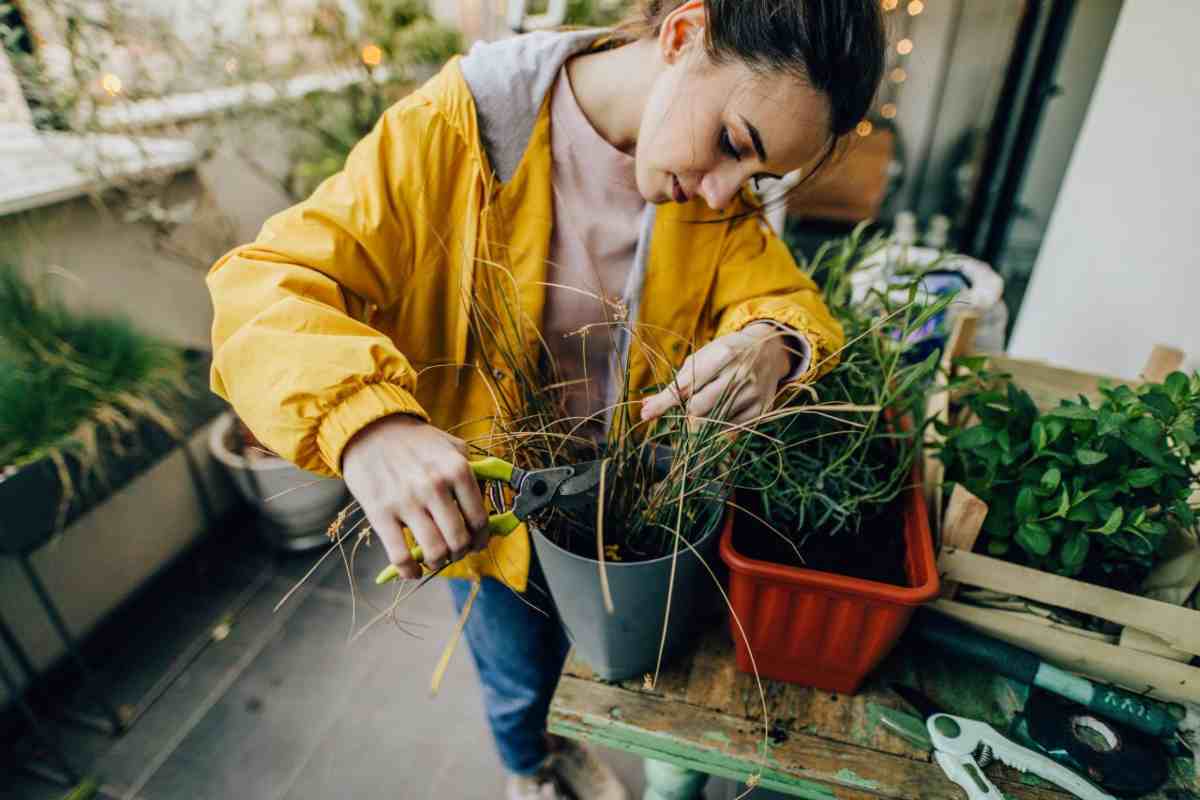 orto terrazzo suggerimenti