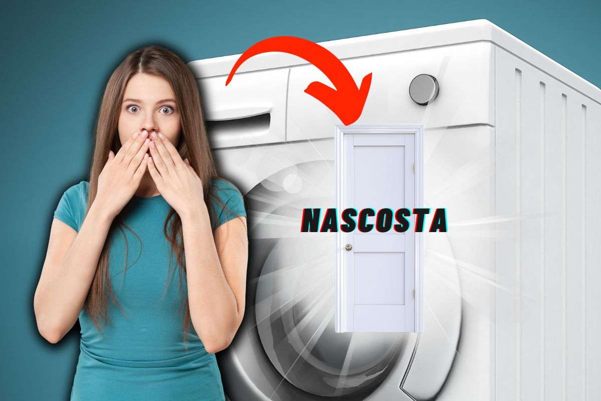 Cosa nasconde la porta nascosta della lavatrice