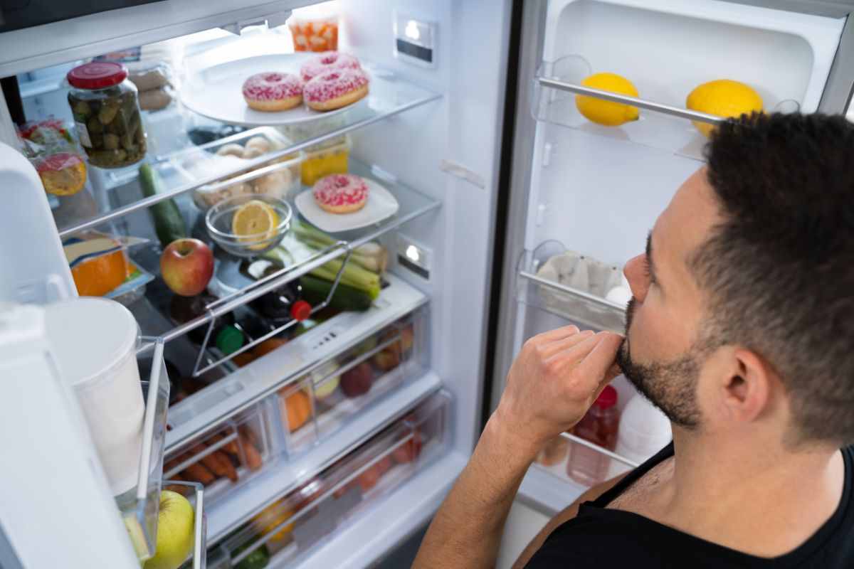 come conservare alimenti frigo