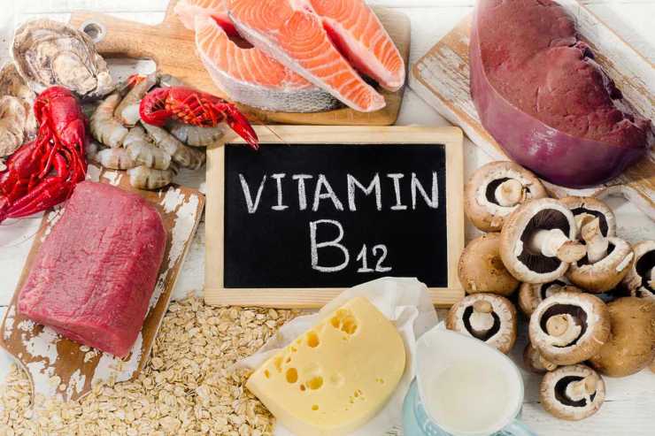  vitamina b12 alimenti