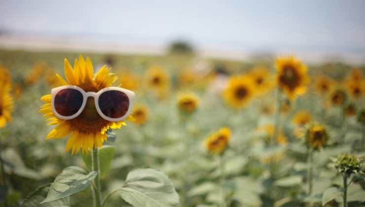 Oroscopo giugno 2023