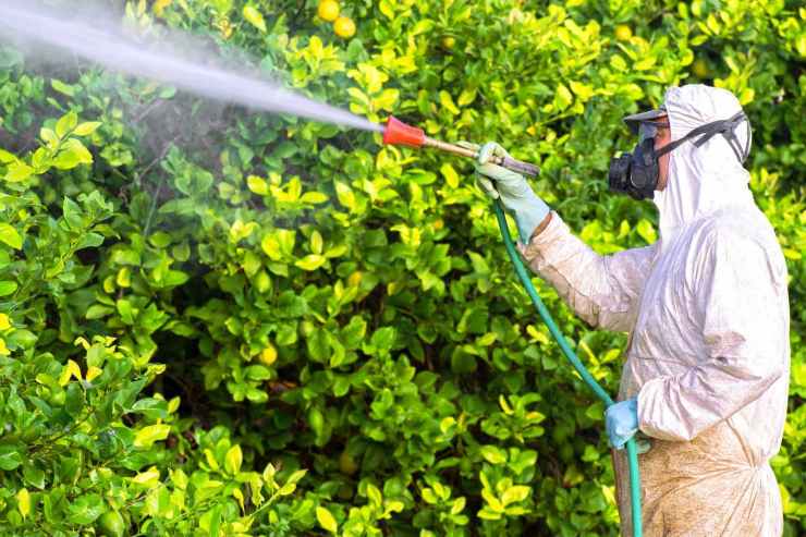I rischi legati all'uso di pesticidi