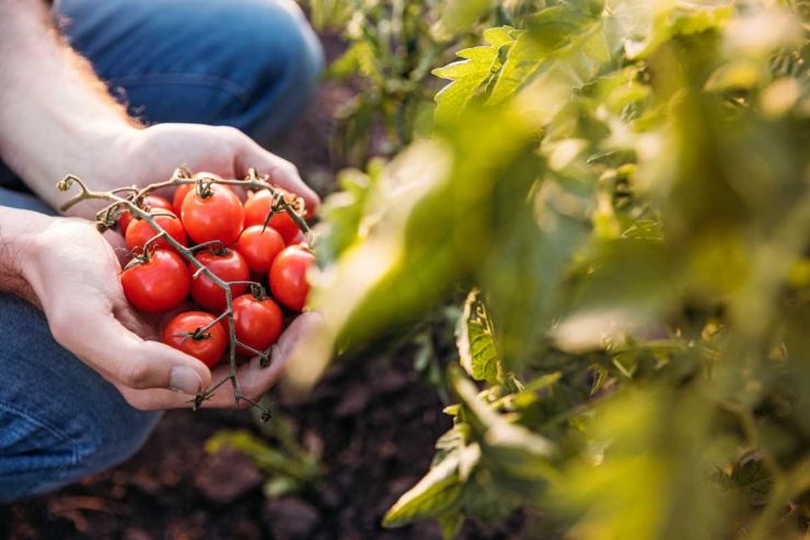 I rischi legati all'uso di pesticidi