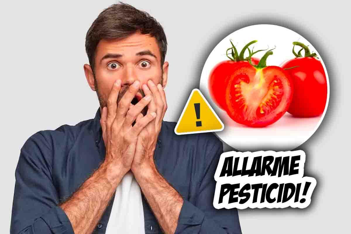 Allarme pesticidi nei pomodori