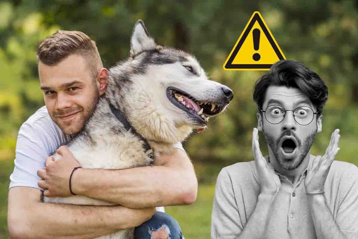 pericoli abbracciare cane