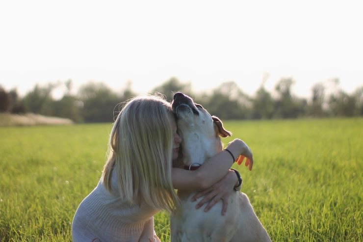 abbracciare i cani gli provoca ansia