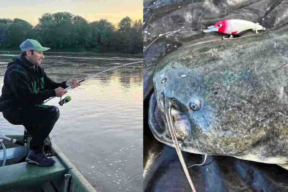 la storia del pesce gigantesco pescato nel po