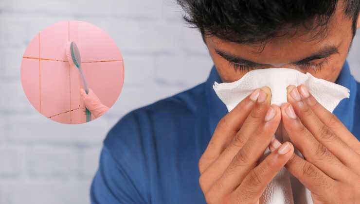 La muffa rosa può causare anche allergie