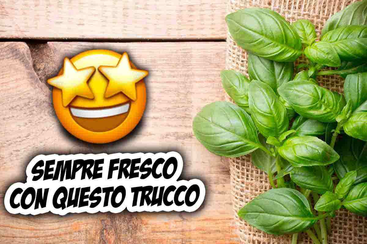 trucco basilico fresco