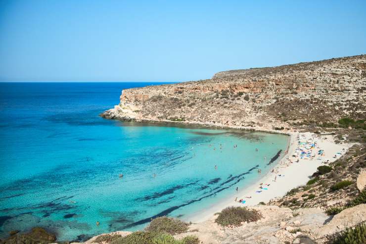 Lampedusa, zona di squali