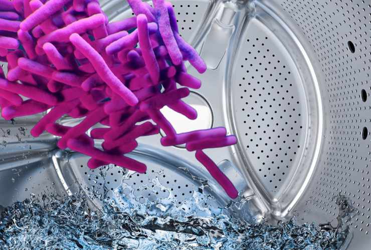 batteri all'interno della lavatrice